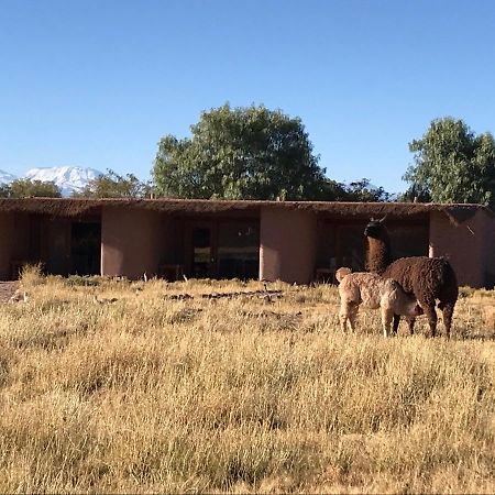 Eco-Lodge El Andinista サン・ペドロ・デ・アタカマ エクステリア 写真
