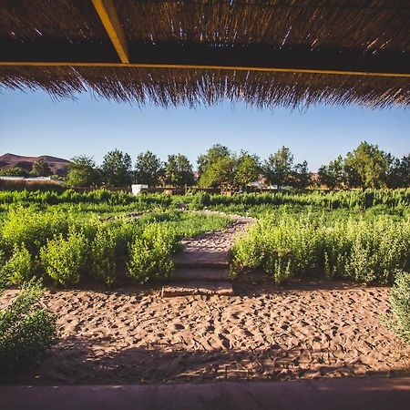 Eco-Lodge El Andinista サン・ペドロ・デ・アタカマ エクステリア 写真