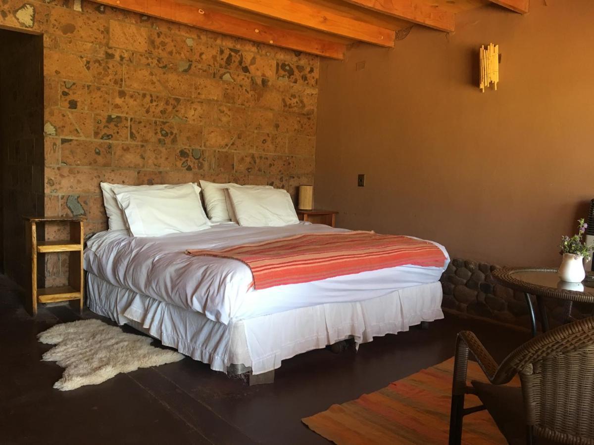 Eco-Lodge El Andinista サン・ペドロ・デ・アタカマ エクステリア 写真